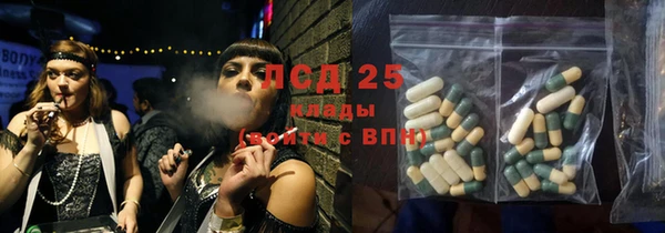 ECSTASY Алзамай